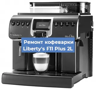 Замена прокладок на кофемашине Liberty's F11 Plus 2L в Перми